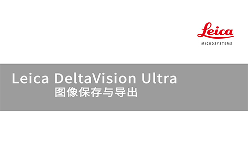 DeltaVision Ultra 图像保存与导出