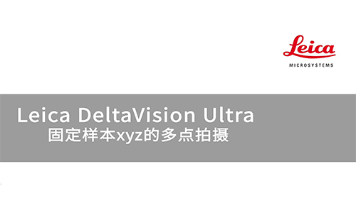 DeltaVision Ultra固定样本xyz的多点拍摄