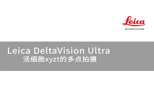DeltaVision Ultra 活细胞xyzt的多点拍摄