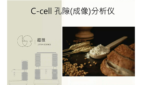 C-cell孔隙(成像)分析仪