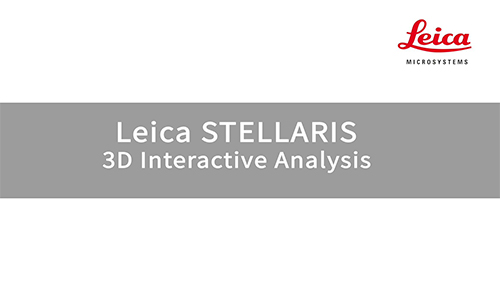 STELLARIS图像分析功能