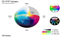 色差仪常见的颜色空间类型有哪些？