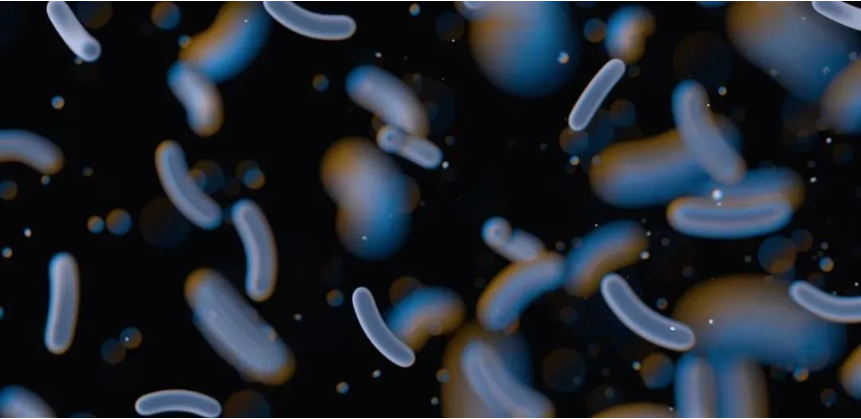 探索GelMA生物打印生物膜的最新进展！
