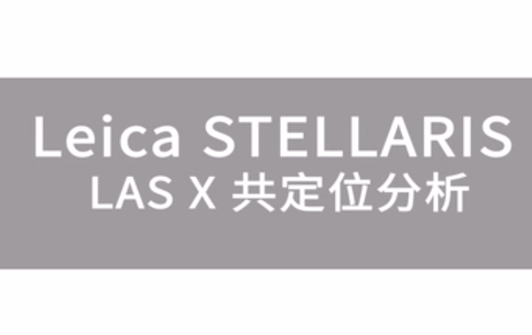 Leica STELLARIS LAS X共定位分析