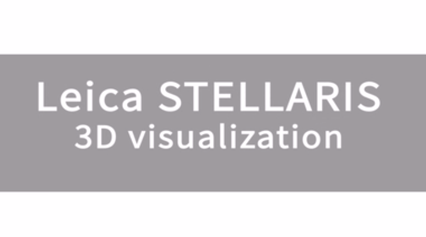 Leica STELLARIS LAS X 3D Visu