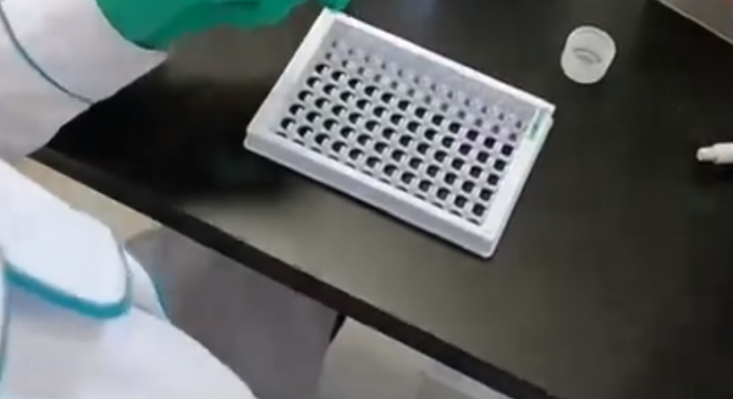 小鼠Elisa试剂盒操作方法
