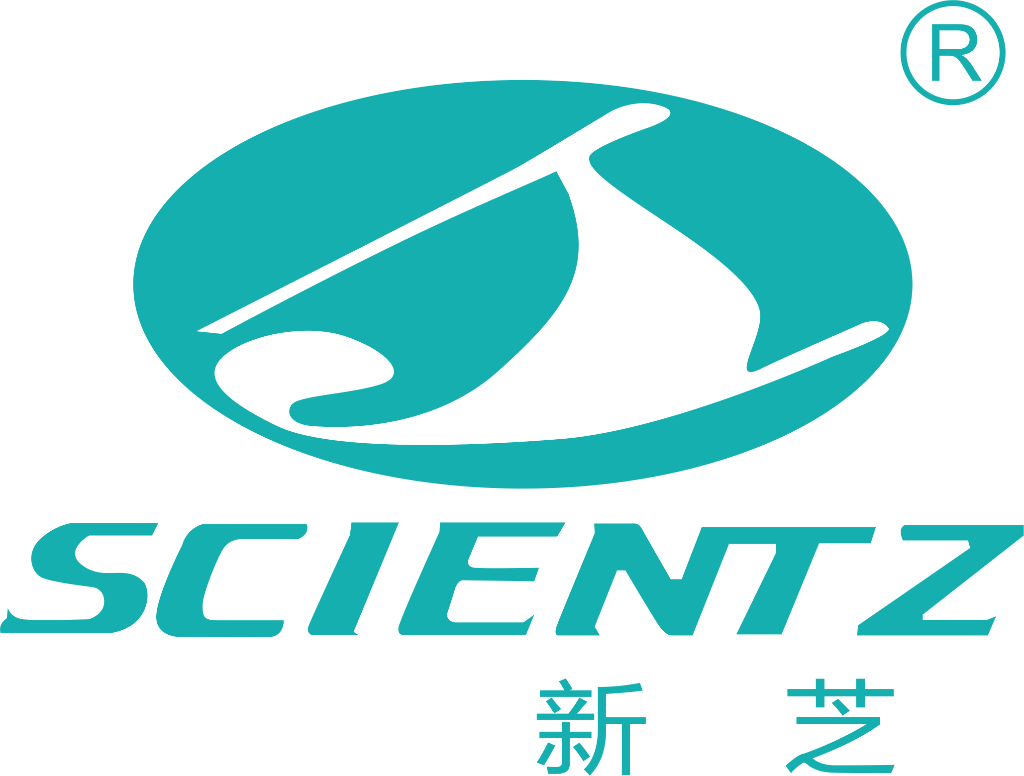 宁波新芝/Scientz
