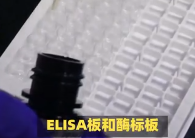 ELISA板与酶标板的实验应用