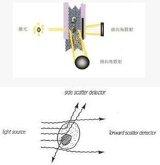 流式细胞仪通常以激光作为发光源.