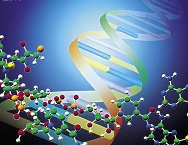 高分子化合物