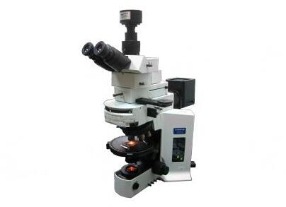 荧光显微镜的校准.jpg