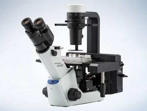 倒置荧光显微镜的用途.jpg