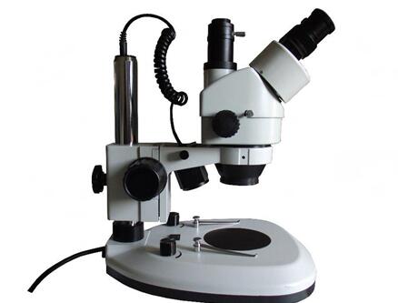 体视显微镜的校准规范