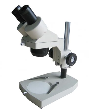体视显微镜的操作.jpg