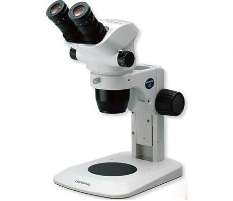 体视显微镜的原理|作用