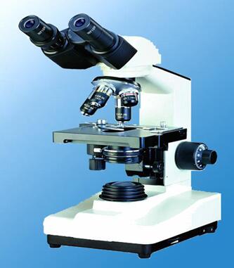 偏光显微镜的结构.jpg