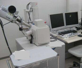 扫描电子显微镜.jpg