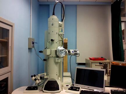 透射电子显微镜操作