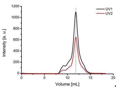 图 2: HAS蛋白样品的SEC色谱图。 单体峰位由灰色虚线表示。单体洗脱前的峰对应不同的低聚物.jpg