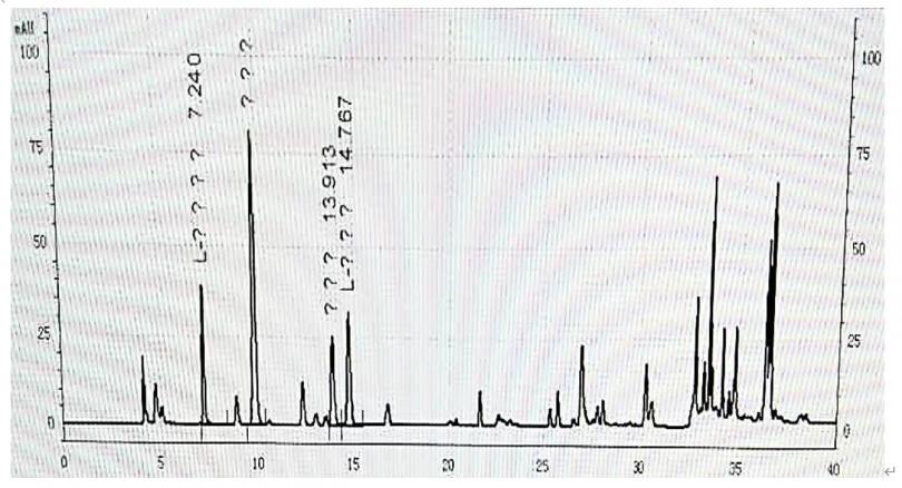 Titank色谱柱对阿胶中四种氨基酸的快速测定