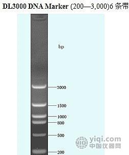 dl3000 dna marker