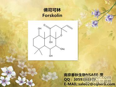 佛司可林/弗斯可林/forskolin/66575-29-9