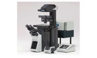 中山大学农学院激光扫描共聚焦显微镜招标公告