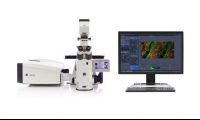 南方科技大学激光共聚焦显微镜中标公告
