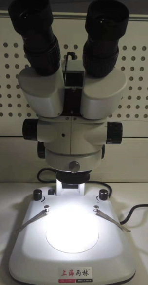 瞳孔显微镜图片
