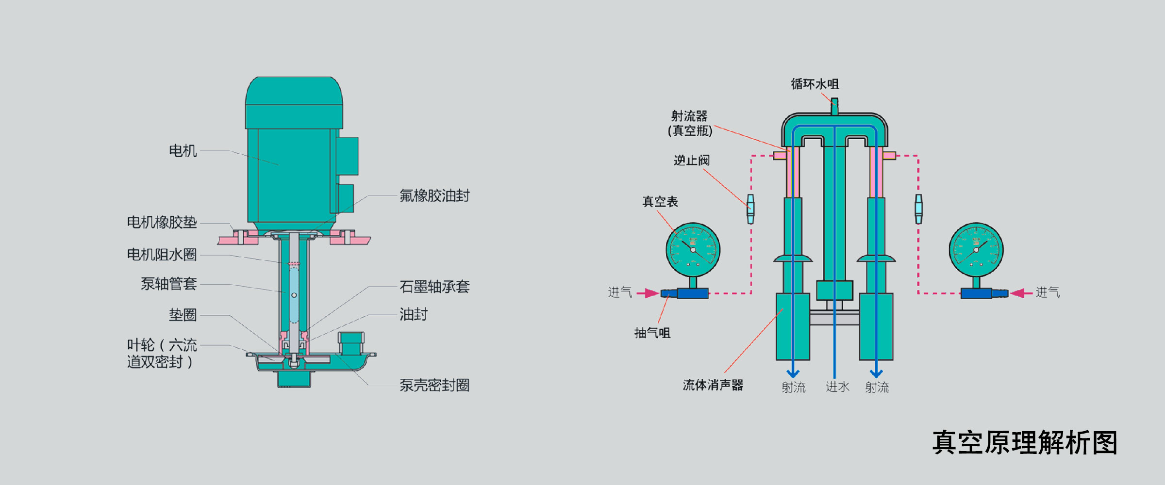 循环水真空泵结构图图片