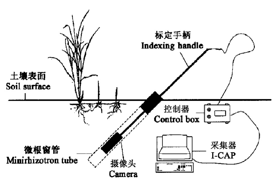 圖片12.png