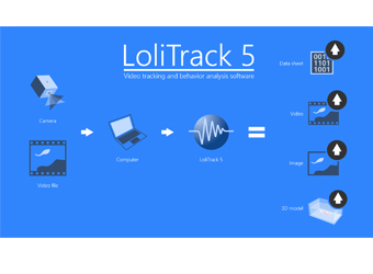 LoliTrack 2D&3D視頻跟蹤和行為分析軟件