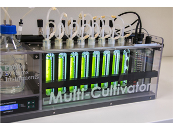 MC1000 8通道藻類培養與在線監測系統