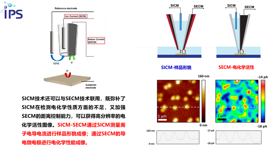 扫描离子电导显微镜SICM(图1)