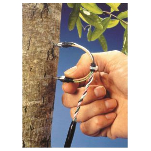 植物茎干液流监测系统沃应用于古树保护