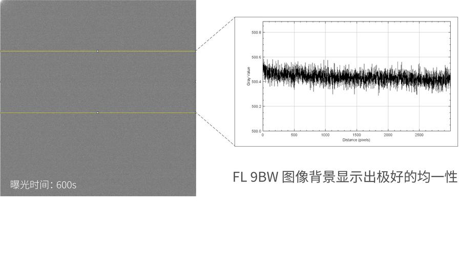 背景均一</br>定量分析更JZ