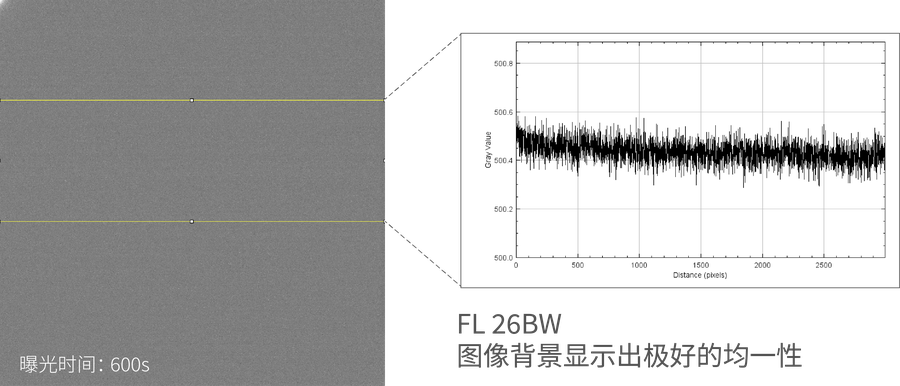 背景均一 定量分析更JZ