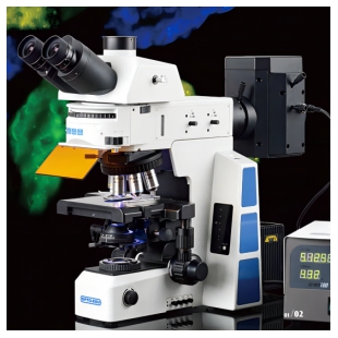 研究型熒光顯微鏡