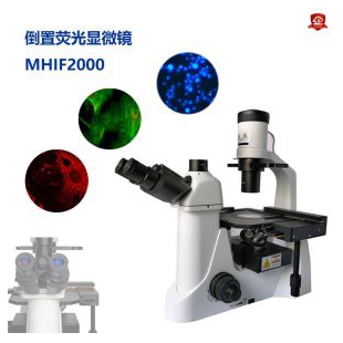 倒置荧光显微镜 MHIF2000 LED激发光源相差观察三色荧光模块相机