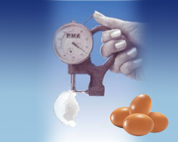 蛋壳厚度测量仪