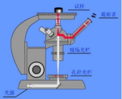 倒置显微镜原理图片