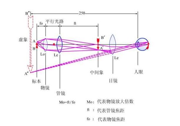 金相显微镜光学原理图图片