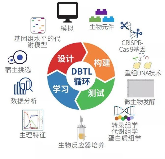 催生新一代生物技术革命: 合成生物学细胞智造专场在线讲座