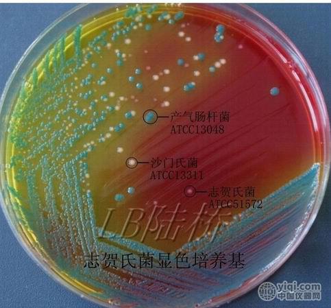 pbe系列陆桥显色培养基平板